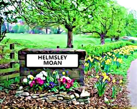 helmsley facebook|helmsley moan forum.